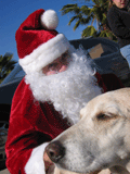operation santa paws