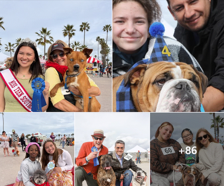 2022 Bulldog Beauty Contest & Haute Dogs Contests photos