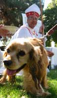 blessing of the animals long beach justin rudd