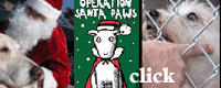 Operation Santa Paws